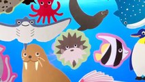 LEARN SEA ANIMALS & WATER ANIMAL NAMES AND SOUNDS REAL OCEAN SOUND FOR KIDS PART 1