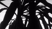 DJ TIEFI    TECHNO MIX