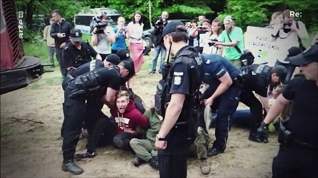 Re: Polens Naturerbe in Gefahr - Der Kampf um den letzten Urwald Europas (Doku)