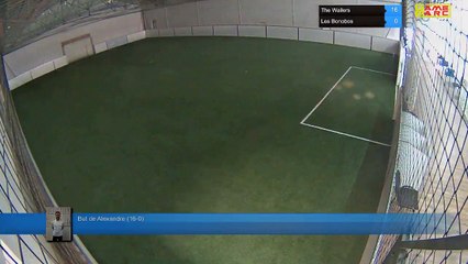 But de Alexandre (16-0) - The Wailers Vs Les Bonobos - 21/09/17 20:00 - LIGUE 1 - Poitiers Game Parc