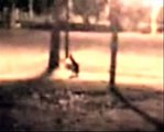 10 Strange Creature Sightings Caught on Tape. Aliens, Demons, Ghosts, Angels and Monsters. Scary.