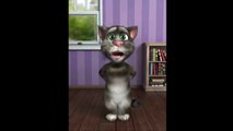 Mèo Tôm và những bài hát vui nhộn nhất, hài hước nhất