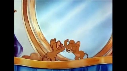 Cute Whatsapp Status Video -- Tom & Jerry - 30 Second Whatsapp Status Download Free