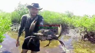 Hunting sea crabs in mangrove forest