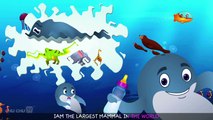 Blue Whale Nursery Rhyme ChuChuTV Sea World Animal Songs & Nursery Rhymes For Children