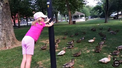 Animals Scaring People Compilation  Best Ever part -1