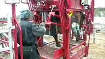 Epic World Modern Technology Automatic Cow Shoeing and Cleaning Mega Machines Heavy Equipm