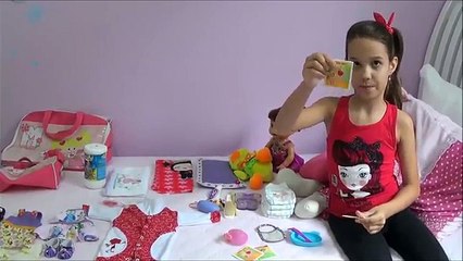 COMO ARRUMAR A MALA DE VIAGEM DA BABY ALIVE