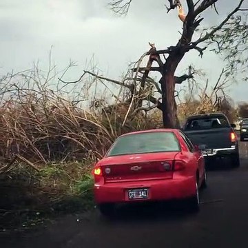 Il filme les Iles Vierges après l'ouragan : paysage apocalyptique