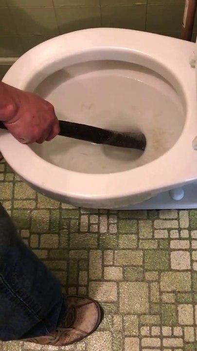 Il sort un serpent de 2m de la cuvette de ses toilettes...