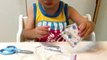 DIY Pudding Kit “Japanese candy kit” -Gacchan