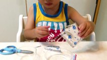DIY Pudding Kit “Japanese candy kit” -Gacchan