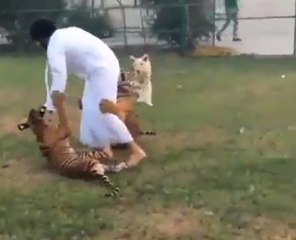 Zengin arapların minnoş kedileri!