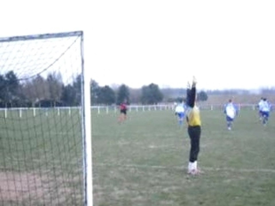 tifou le renard des surfaces