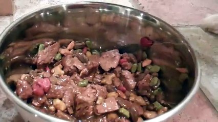 Dog Eating ASMR