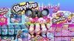 Shopkins Hunting! + Splashlings, LPS, Lalaloopsy, Tsum Tsum & More. Toy Hunt @ Toys R Us!