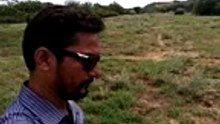 Hello Friends