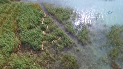 Beyşehir Gölü'nde Suya Akım Vererek Avlanan 2 Kişi Yakalandı