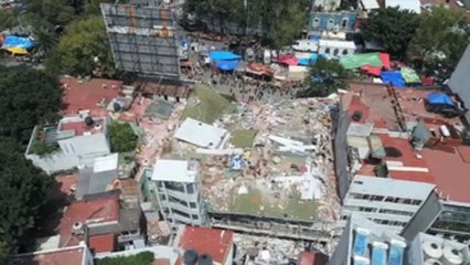Topos repiten su hazaña en México 32 años después del sismo que los vio nacer