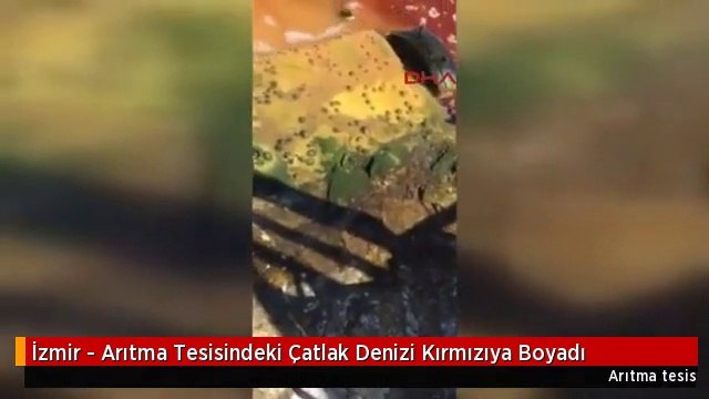 İzmir - Arıtma Tesisindeki Çatlak Denizi Kırmızıya Boyadı