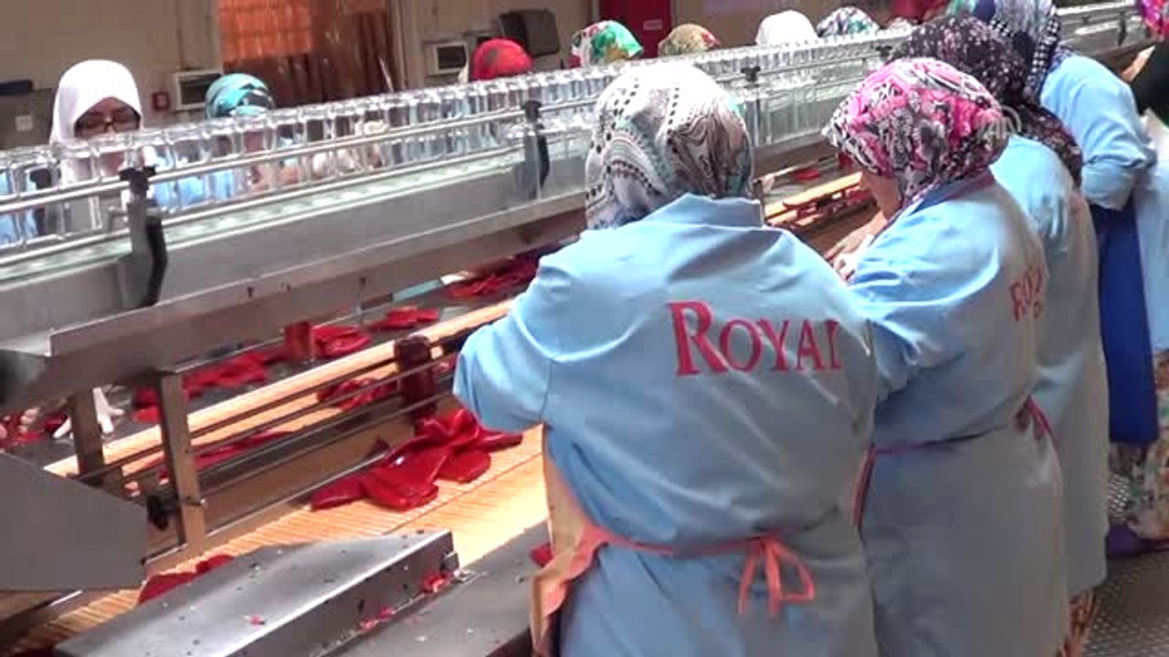 Yabancı Sofralarının Közlenmiş Biberi Biga'dan