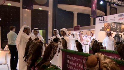 هذا الصباح- فنون القنص وأدواته في معرض كتارا الدولي