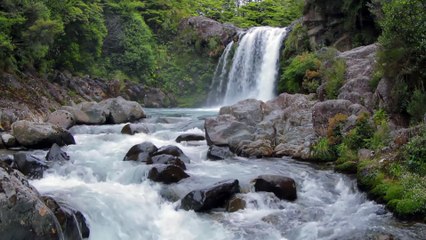 Relax 3 Minutes - Waterfall and Relaxing Birds Singing