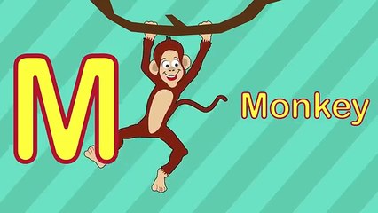 Animal ABC with Number Zoo | Learn the Alphabet With Animals