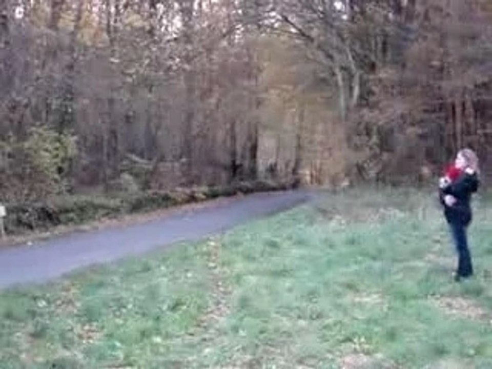 2ème rally du bassin nogentais parti3