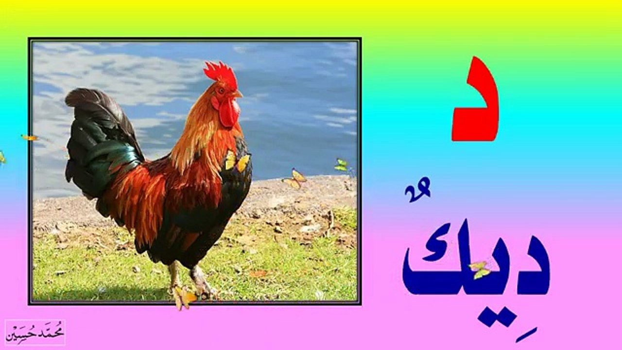 تعلم الحروف الهجائية العربية كاملة مع أمثلة