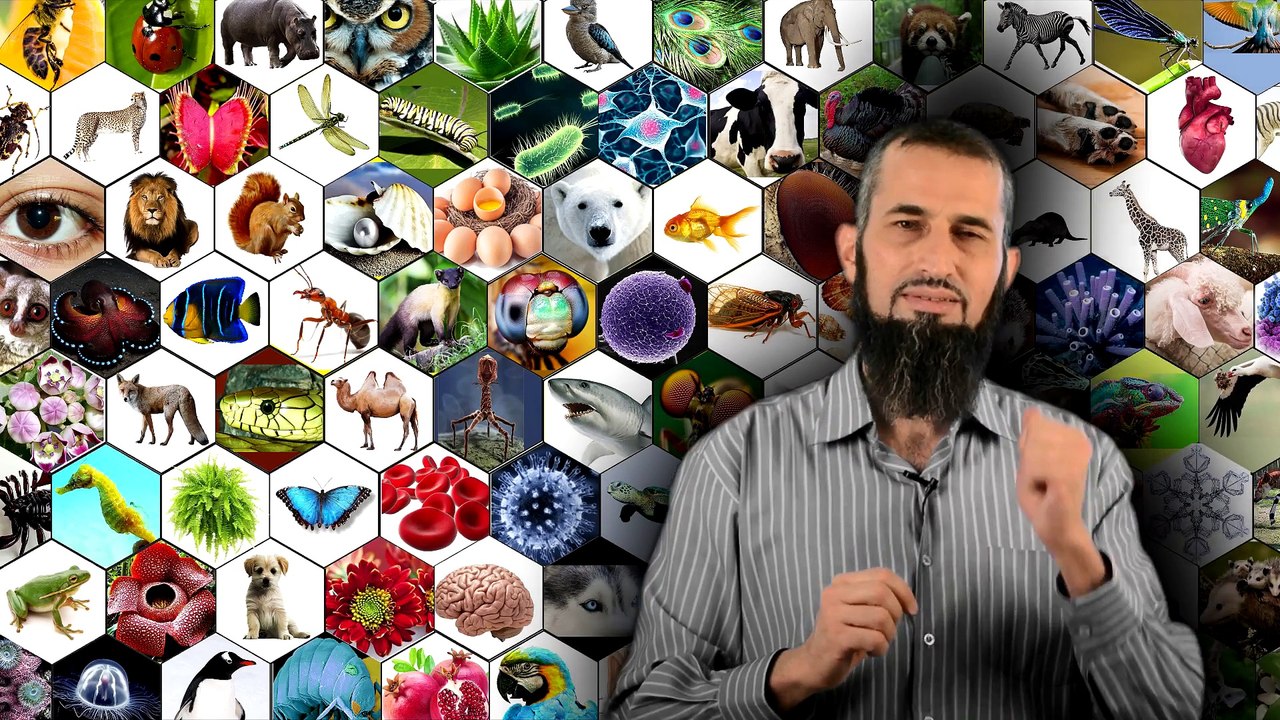 " رحلة اليقين ~17~ ... العظمة في كل مكان " د.إياد قنيبي