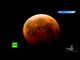 Blood Moon: Rare total lunar eclipse (TIMELAPSE VIDEO)