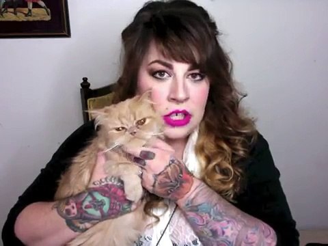 Super Cute Cuddly Persian Cats- Fluffy Kittens- Meet My Persian Cats