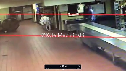 Kenneka Jenkins *UPDATE 9/21* Shocking New Final Video Evidence Found. Watch Until The END!