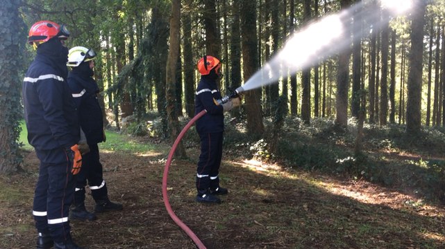 Manœuvre interdépartementale des sapeurs-pompiers à Brocéliande