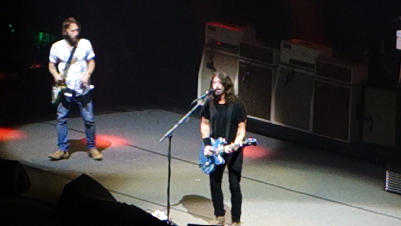 Foo Fighters - Skin and Bones