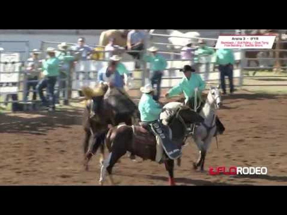 Bareback 76 at International Finals Youth Rodeo 2017