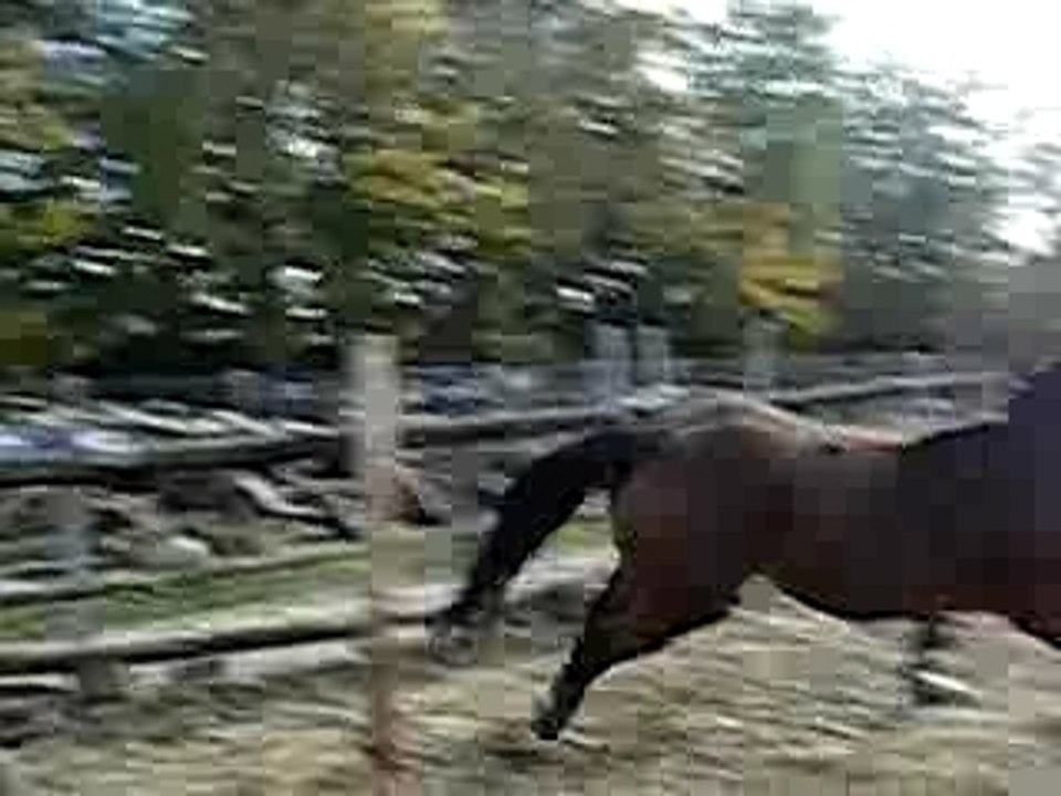 Mercure - 05.11.07 BIS