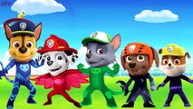 Paw Patrol Transforms Into PJ Masks Finger Family Song - Paw Patrol Mickey Mouse Nursery R