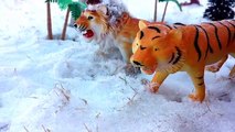 Wild Animals In Snow/Schleich Toy animals Play In Snow-Fun Safari ZOO Animals Video