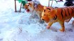 Wild Animals In Snow/Schleich Toy animals Play In Snow-Fun Safari ZOO Animals Video