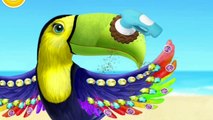 Fun Animals Care - Magic Makeover Kids Games Jungle Animal Hair Salon 2 - Funny Gameplay for Girls