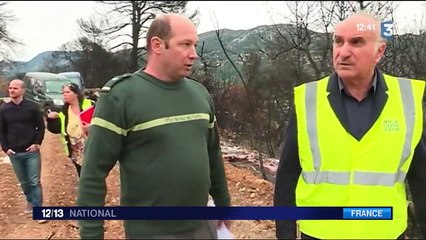 Après les incendies, voir comment la nature réagit