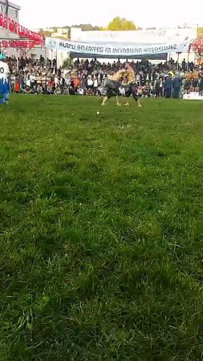 ALAPLI BAŞPEHLİVANI İSMAİL BALABAN..
