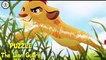 THE LION GUARD! Puzzle Games / Disney Junior Learning Toys for Kids