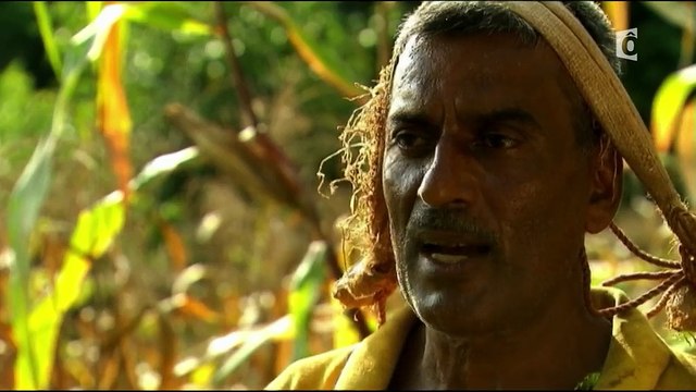 Chemins d'école, chemins de tous les dangers - Népal