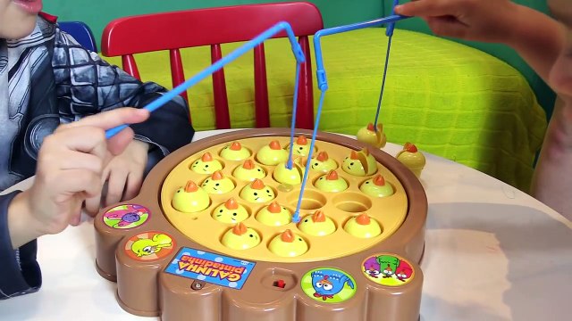 PEGA PINTINHO AMARELINHO DA GALINHA PINTADINHA Paulinho Brincando - c/ Música Infantil para Crianças