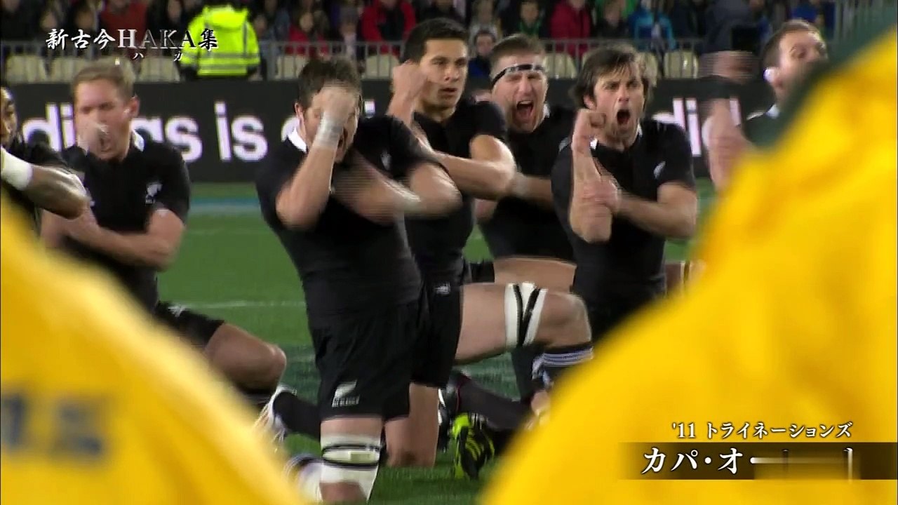 Rugby Haka Collection