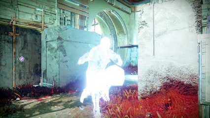 Destiny 2_クルーシブル闘魂31キル