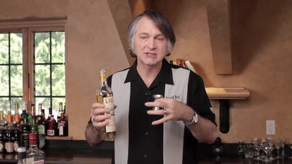 Prohibition Cocktail - The Cocktail Spirit with Robert Hess - Small Screen